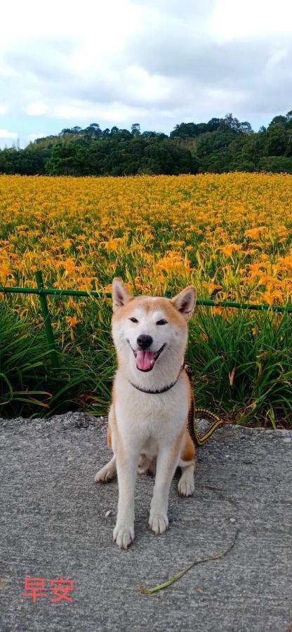 Mi Xiang Homestay Chishang Exteriér fotografie